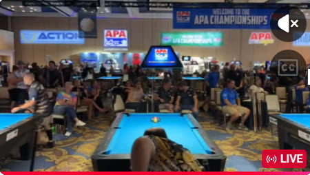 2026 APA World Pool Championship